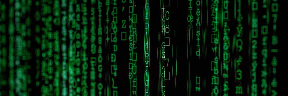 dane programista programming data