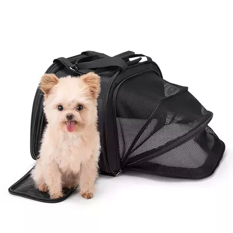 Rockbros 30140028001 Transport-Fahrradtasche für Katzen und Hunde – Schwarz