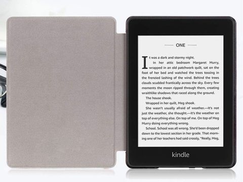 Alogy Smart Case Kindle Paperwhite 4 grünes Glas