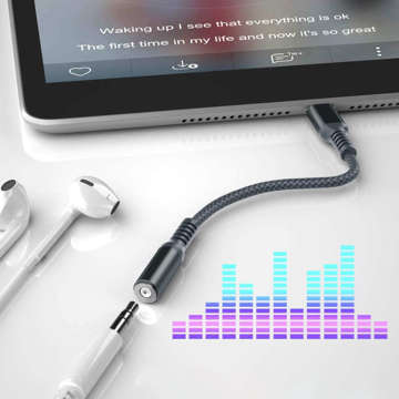 Alogy USB-C auf Mini Jack 3,5 mm Adapter mit DAC Nylon Schwarz