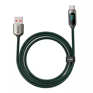 Baseus Display USB-zu-USB-C-Kabel, 66 W, 1 m (grün)