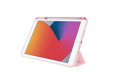 Magnetisches Alogie-Federmäppchen für iPad 10.2 2019/2020/2021 7/8 / 9Gen Rosa Glas