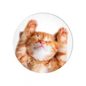 Popsockets 2 Snoozy Cat Telefonhalter und Ständer