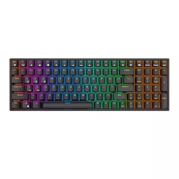 Royal Kludge RK100 RGB mechanische Tastatur, brauner Schalter (schwarz)