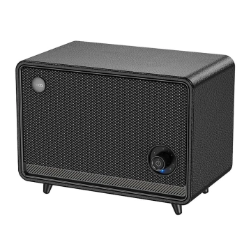 Retro-Bluetooth-Lautsprecher 30 W, 2600 mAh FM/TF/AUX – tragbar, 10 Std.