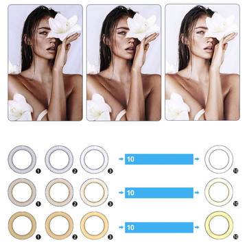 LED-Ringlampe 16cm Mini-Stativstativ Stativbeleuchtung für Selfie-Make-up-Fotos