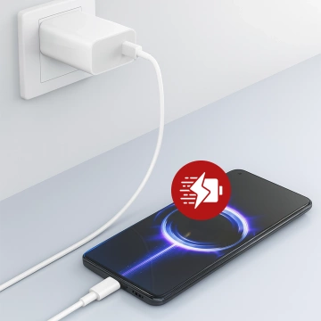 Ładowarka sieciowa Xiaomi oryginalna USB-A Szybkie Ładowanie QC3.0 3A 67W + Kabel USB do USB-C 120W 1M