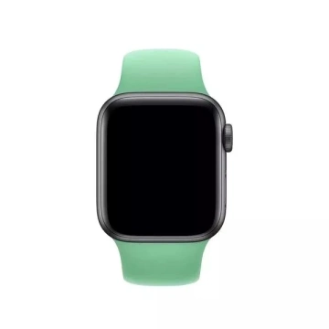 Apple Watch Sportarmband 40 mm – Spearmintgrün, Original