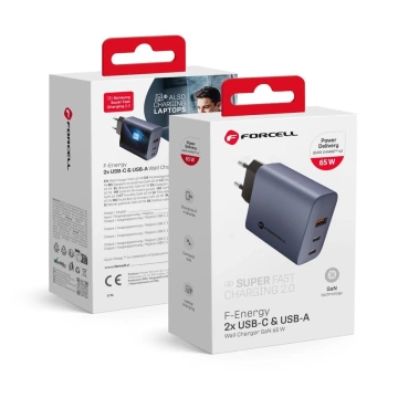 FORCELL F-ENERGY GaN Wandladegerät 2 x Typ C USB A PD QC4.0 4A 65W Grau
