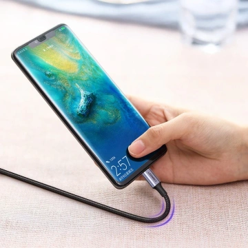 Ugreen Kabel USB Type C - USB Type C Power Delivery 100W Quick Charge FCP 5A 3m grau (90120 US316)