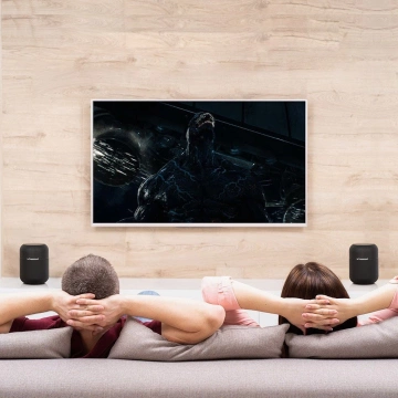 Tronsmart Element T6 Max 60 W tragbarer drahtloser Bluetooth 5.0-Lautsprecher schwarz (365144)