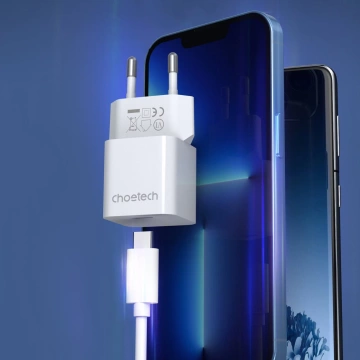 Choetech Ladegerät 20W USB Typ C (PD5010)
