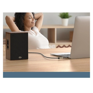 Adapter UGREEN Audioadapter von 3,5 mm (männlich) auf 6,35 mm Miniklinke (weiblich) grau (AV168)