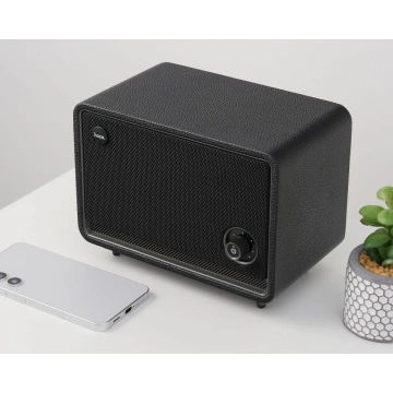 Retro-Bluetooth-Lautsprecher 30 W, 2600 mAh FM/TF/AUX – tragbar, 10 Std.